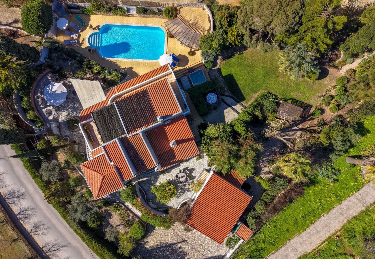 Villa in Carvoeiro - Villa Madrugada - Swimming pool, jacuzzi, walking distance to town centre & beach 