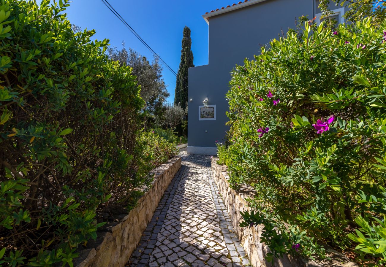 Villa in Carvoeiro - Villa Madrugada - Swimming pool, jacuzzi, walking distance to town centre & beach 