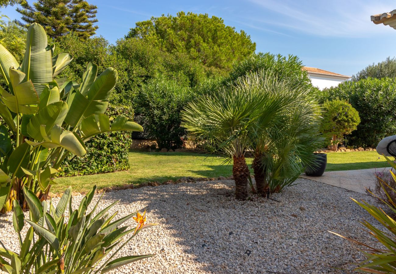 Villa in Carvoeiro - Villa Tranquila - Private swimming pool & stunning gardens, in Presa de Moura