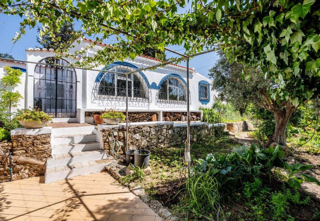 Villa in Carvoeiro - Vivenda Nos Dois - 3 Bed Villa With Heated Pool